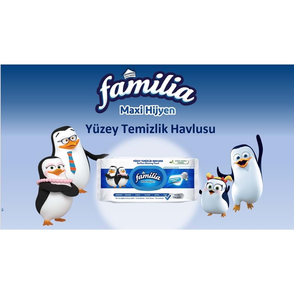 Familia Yüzey Temizlik Havlusu 96 Yaprak Maxi Hijyen Kabartma Doku Plastik Kapaklı