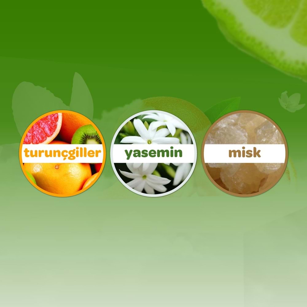Dalin Bebek Kolonyası 150ML Orman Esintisi (Turunçgiller-Yasemin-Misk Kokulu) (9 Lu Set)