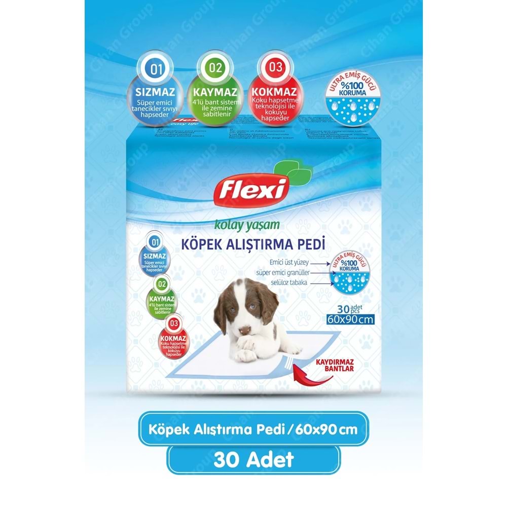 Flexi Evcil Hayvan Köpek Alıştırma Tuvalet Eğitim Pedi 60*90 CM 90 Adet