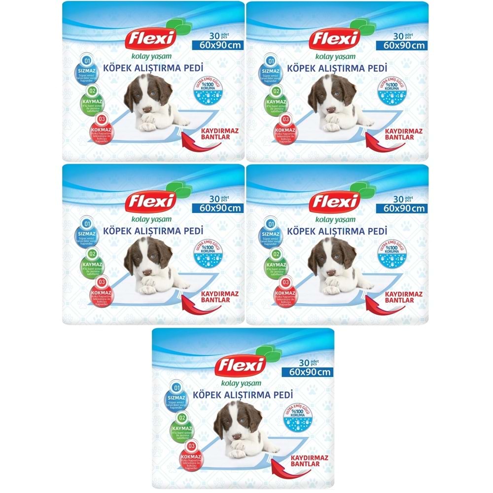 Flexi Evcil Hayvan Köpek Alıştırma Tuvalet Eğitim Pedi 60*90 CM 150 Adet