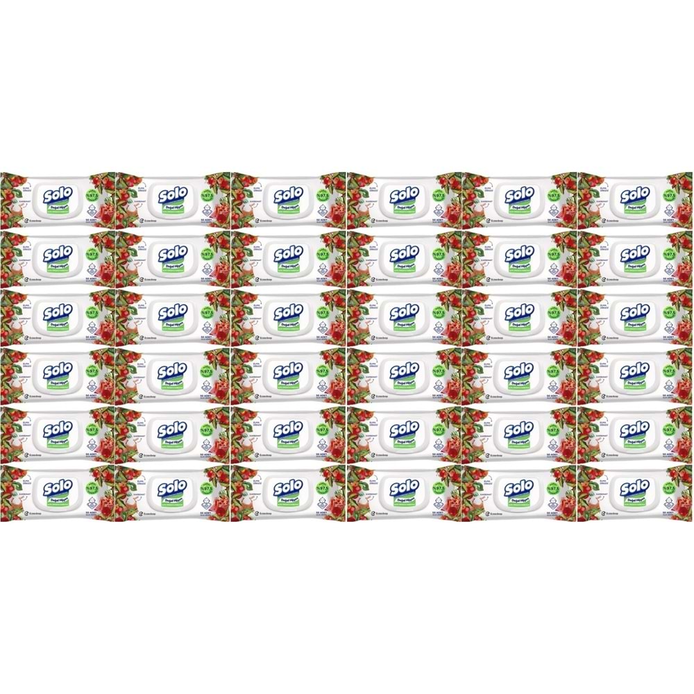 Solo Islak Havlu Mendil 50 Yaprak Elma Sirkesi & Karbonat (36 Lı Set) (12PK*3) 1800 Yaprak