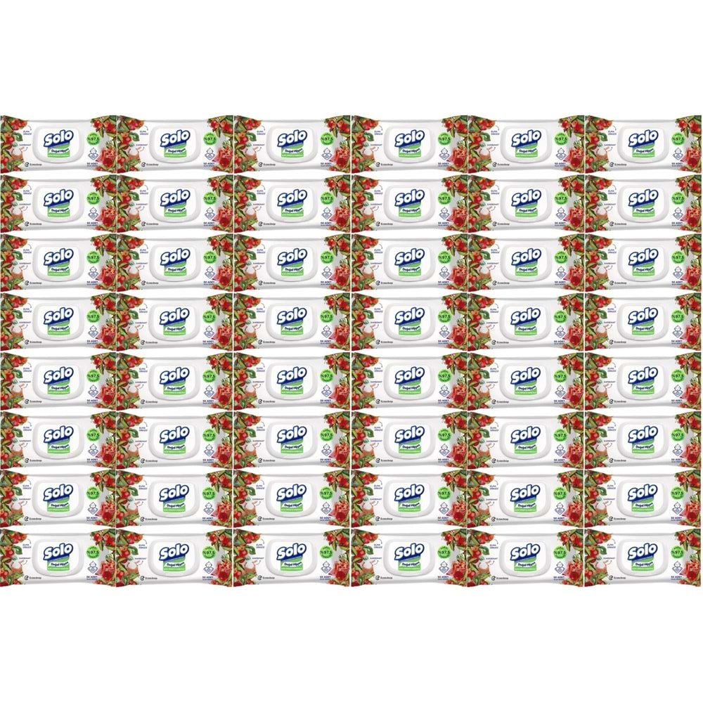 Solo Islak Havlu Mendil 50 Yaprak Elma Sirkesi & Karbonat (48 Li Set) (16PK*3) 2400 Yaprak