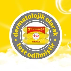 Dalin Islak Havlu Mendil Klasik 56 Yaprak 3 Lü Pk (168 Yaprak)