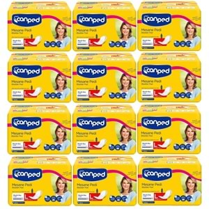 Canped Mesane Pedi Klasik L - Large - Büyük Boy 120 Adet (12PK*10)
