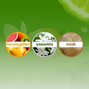 Dalin Bebek Kolonyası 150ML Orman Esintisi (Turunçgiller-Yasemin-Misk Kokulu) (9 Lu Set)