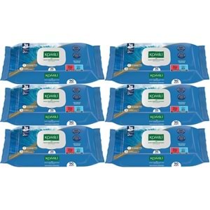 Komili Islak Havlu Mendil 90 Yaprak Okyanus Esintisi (6 Lı Set) Pratik Kapaklı (540 Yaprak)