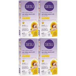 Sesu Sir Ağda Bandı 42 Li Pk Normal Ciltler (4 Lü Set)
