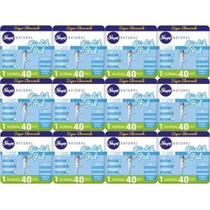Sleepy Natural Günlük Ped Normal 480 Adet Süper Ekonomik Pk (12PK*40)
