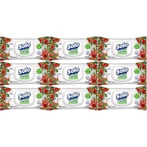 Solo Islak Havlu Mendil 50 Yaprak Elma Sirkesi & Karbonat (9 Lu Set) (3PK*3) 450 Yaprak