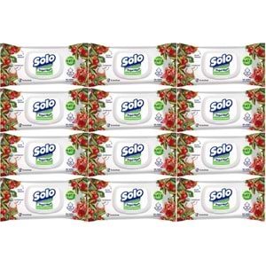 Solo Islak Havlu Mendil 50 Yaprak Elma Sirkesi & Karbonat (12 Li Set) (4PK*3) 600 Yaprak