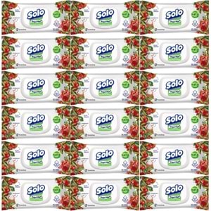 Solo Islak Havlu Mendil 50 Yaprak Elma Sirkesi & Karbonat (18 Li Set) (6PK*3) 900 Yaprak