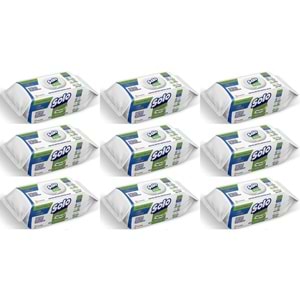 Solo Yüzey Temizlik Havlusu - Mendili 100 Yaprak Okaliptus & Çam Esintisi (9 Lu Set) 900 Yaprak