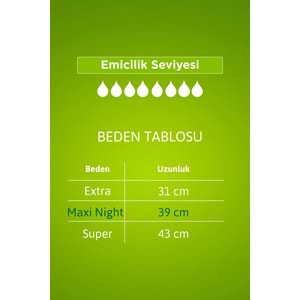 Tena Lady Protect Mesane Pedi Maxi Night Geceye Özel 48 Adet