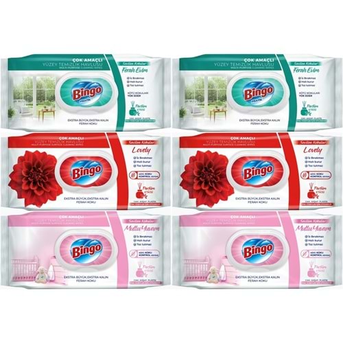 Bingo Clean Yüzey Temizlik Havlusu (Karma 6 Lı Set) (Ferah Evim - Lovely - Mutlu Yuvam) 576 Yaprak