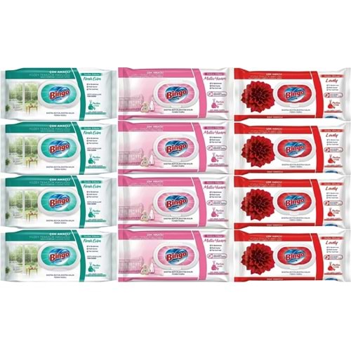 Bingo Clean Yüzey Temizlik Havlusu (Karma 12 Li Set) (Ferah Evim - Lovely - Mutlu Yuvam) 1152 Yaprak