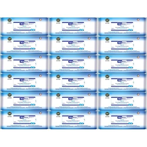 BlueWhite Yetişkin Hasta Perine Bölgesi Temizleme Mendil-Havlusu (18 li set) 50 Yaprak Hijyenik