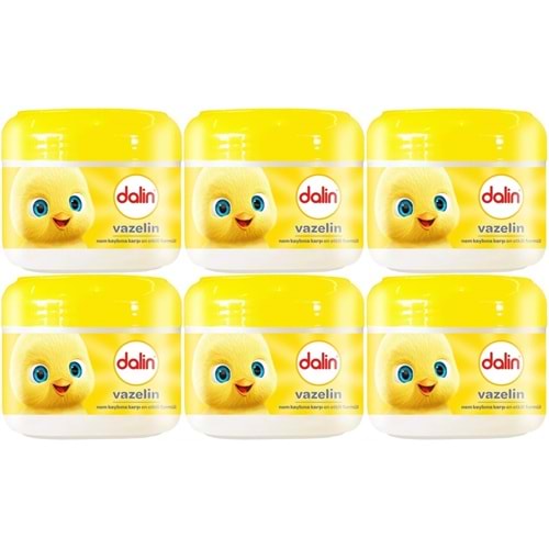 Dalin Vazelin 100ML Klasik (6 Lı Set)