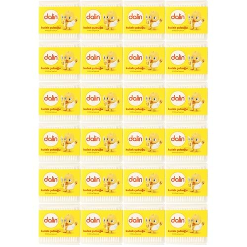 Dalin Kulak Çubuğu 100 Adet (24 Lü Set)