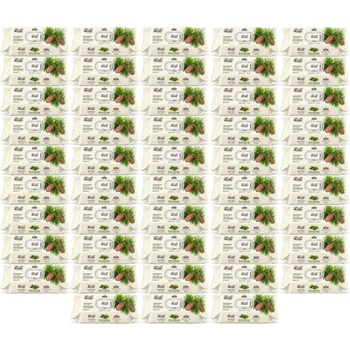 Fibril Islak Havlu Mendil 90 Yaprak Mistik Sedir Ağacı Plastik Kapaklı (48 Li Set) 4320 Yaprak