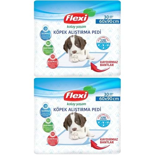 Flexi Evcil Hayvan Köpek Alıştırma Tuvalet Eğitim Pedi 60*90 CM 60 Adet
