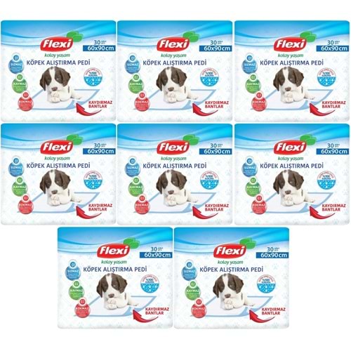 Flexi Evcil Hayvan Köpek Alıştırma Tuvalet Eğitim Pedi 60*90 CM 240 Adet