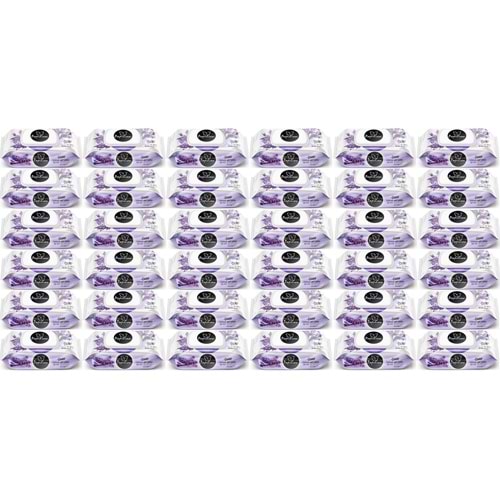 Papilion Islak Havlu Mendil 100 Yaprak Lavanta (36 Lı Set) 3600 Yaprak