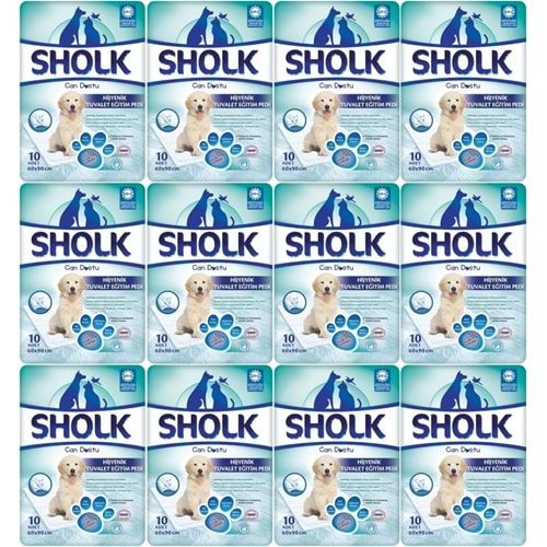 Sholk Evcil Hayvan Tuvalet Çiş Eğitim Pedi 60*90CM 120 Adet (12PK*10)