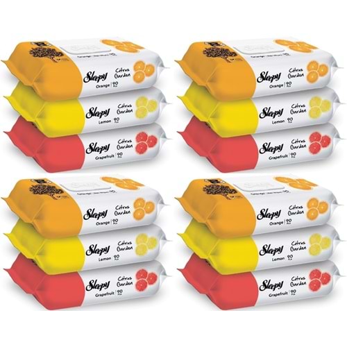 Sleepy Islak Havlu Mendil Meyve Çeşitleri 90 Yaprak (12 Li Set) Plastik Kapaklı (Citrus Garden)
