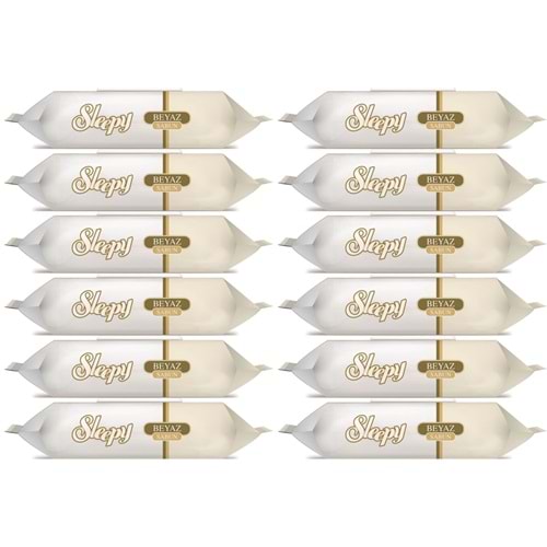 Sleepy Islak Havlu Mendil 90 Yaprak (12 Li Set) Beyaz Sabun Kokulu Plastik Kapaklı (1080 Yaprak)