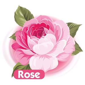 Baby Turco Islak Havlu Mendil 90 Yaprak Gül/Rose Plastik Kapaklı Tekli Pk