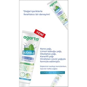 Agarta Doğal Diş Macunu 100ML Naneli (12 Li Set)