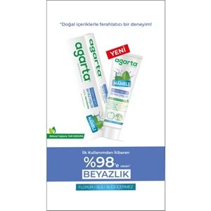 Agarta Doğal Diş Macunu 100ML Naneli (12 Li Set)