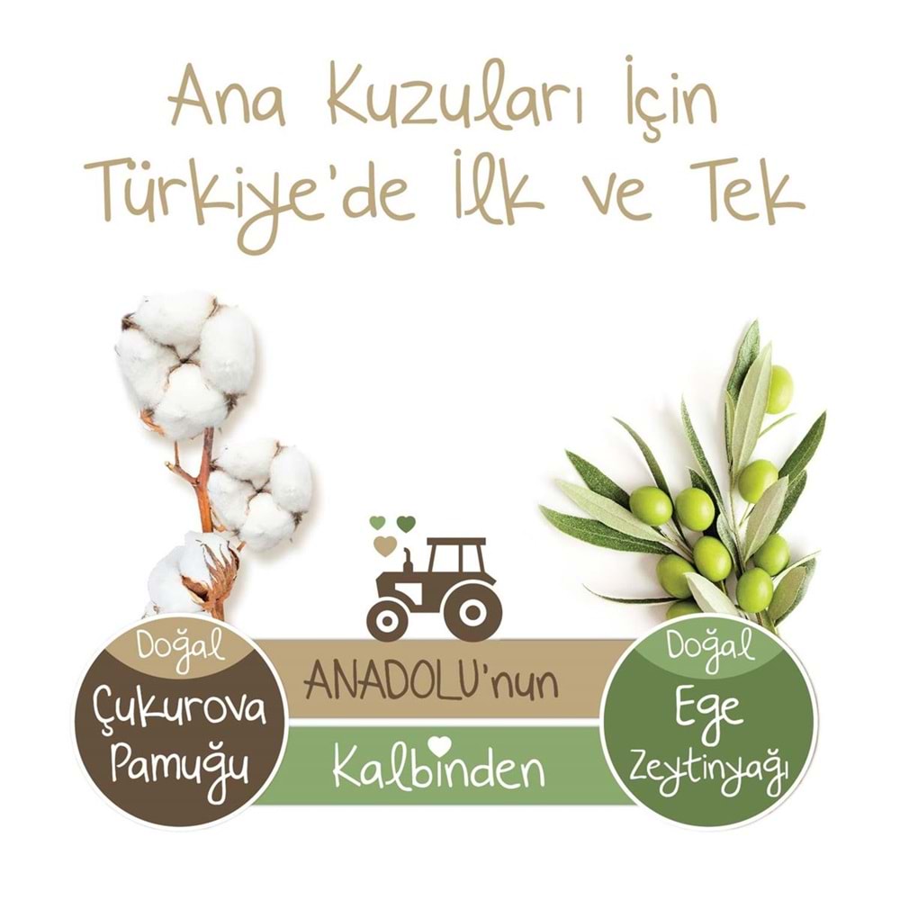 Baby Turco Bebek Bezi Doğadan 2 Beden 3-6 KG Mini 168 Adet Jumbo Aylık Pk