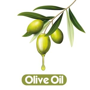 Baby Turco Islak Havlu Mendil 90 Yaprak Zeytinyağlı 2 Li Set 180 Yaprak Plastik Kapaklı