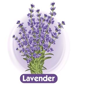 Baby Turco Islak Havlu Mendil 70 Yaprak Karma 48 Li Set (Leylak-Lavanta-Limon-Portakal) Plst Kapak