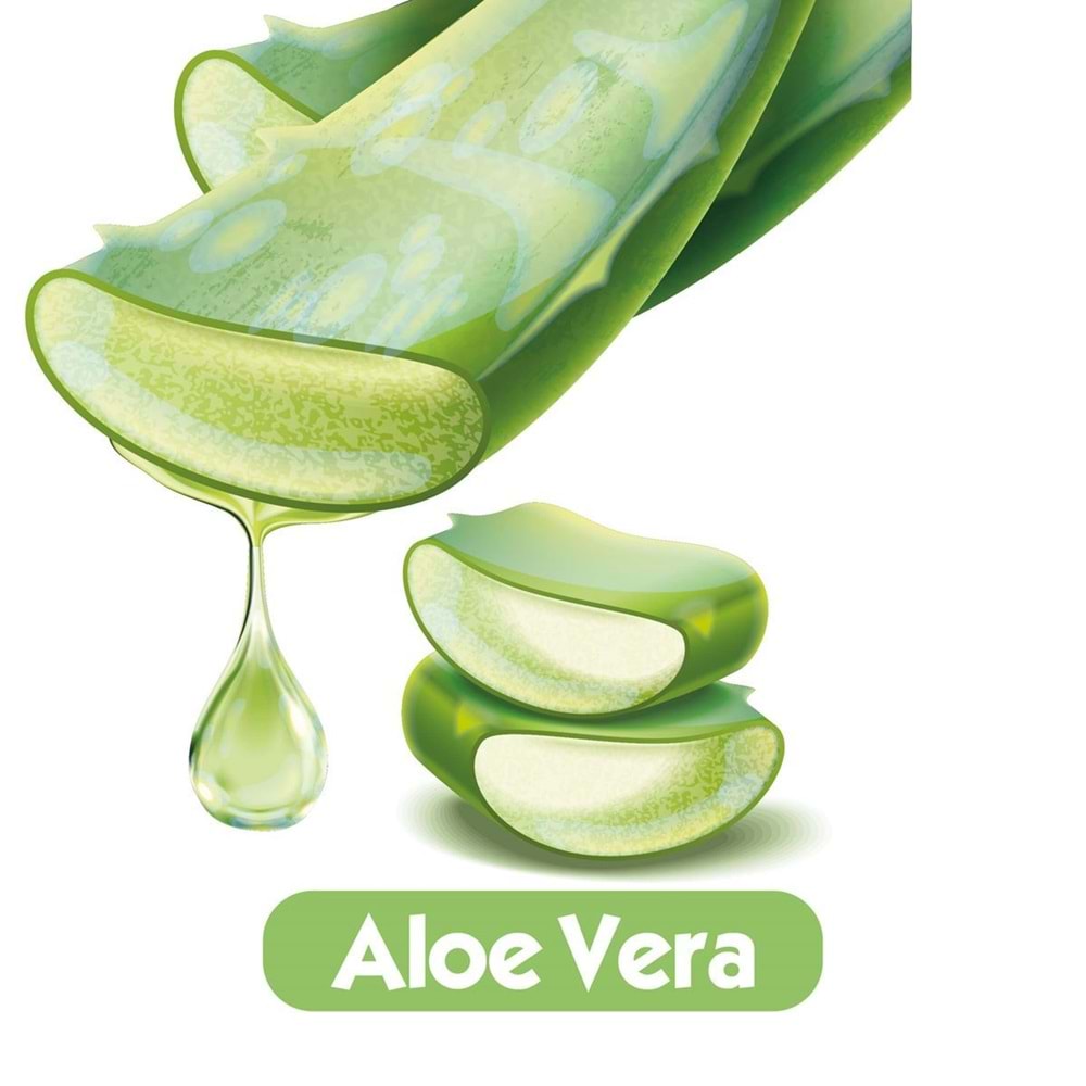 Baby Turco Islak Havlu Mendil Soft Care Aloe Vera 90 Yaprak (6 Lı Set) (2PK*3) 540 Yaprak