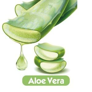 Baby Turco Islak Havlu Mendil Soft Care Aloe Vera 90 Yaprak (6 Lı Set) (2PK*3) 540 Yaprak