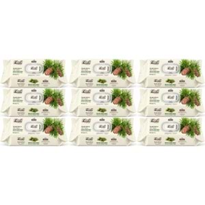 Fibril Islak Havlu Mendil 90 Yaprak Mistik Sedir Ağacı Plastik Kapaklı (9 Lu Set) 810 Yaprak