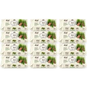 Fibril Islak Havlu Mendil 90 Yaprak Mistik Sedir Ağacı Plastik Kapaklı (12 Li Set) 1080 Yaprak