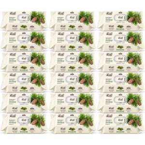 Fibril Islak Havlu Mendil 90 Yaprak Mistik Sedir Ağacı Plastik Kapaklı (18 Li Set) 1620 Yaprak