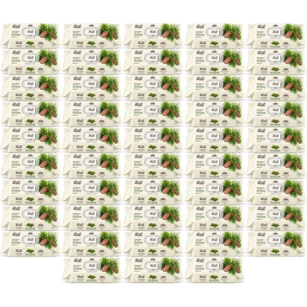 Fibril Islak Havlu Mendil 90 Yaprak Mistik Sedir Ağacı Plastik Kapaklı (48 Li Set) 4320 Yaprak