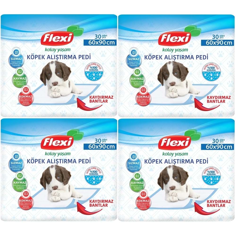 Flexi Evcil Hayvan Köpek Alıştırma Tuvalet Eğitim Pedi 60*90 CM 120 Adet