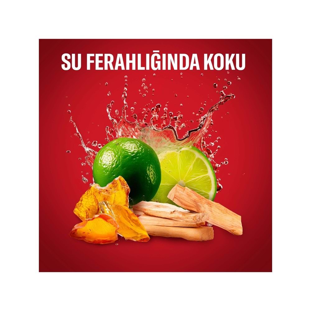 Old Spice WhiteWater & Captain Stick Roll-On Men/Erkek Deodorant 50ML (Karma 6 Lı Set)