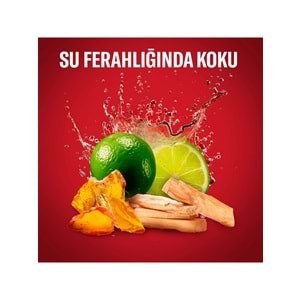 Old Spice WhiteWater & Captain Stick Roll-On Men/Erkek Deodorant 50ML (Karma 6 Lı Set)