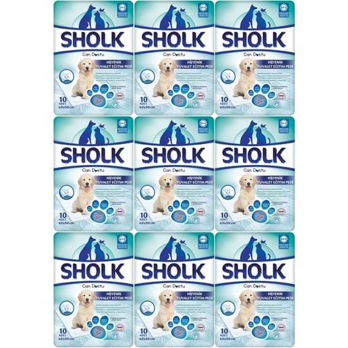 Sholk Evcil Hayvan Tuvalet Çiş Eğitim Pedi 60*90CM 90 Adet (9PK*10)